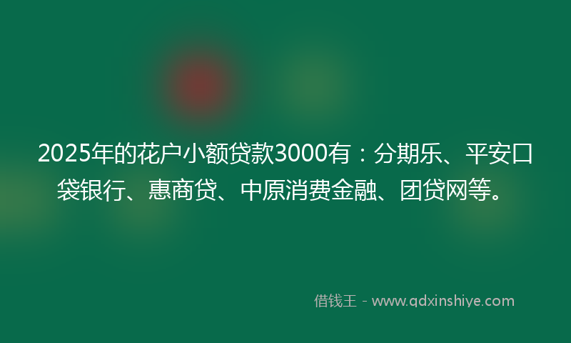 2025年的花户小额贷款3000有：分期乐、平安口袋银行、惠商贷、中原消费金融、团贷网等。