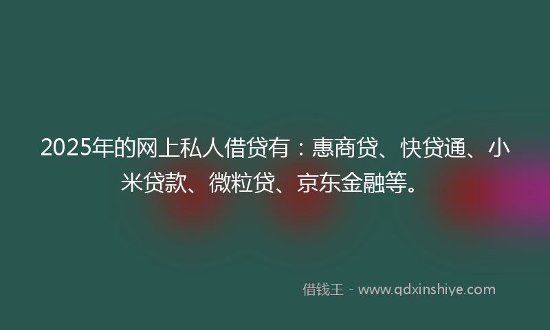 2025年的网上私人借贷有：惠商贷、快贷通、小米贷款、微粒贷、京东金融等。
