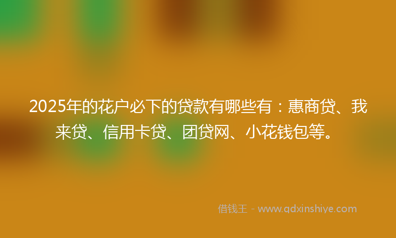 2025年的花户必下的贷款有哪些有：惠商贷、我来贷、信用卡贷、团贷网、小花钱包等。