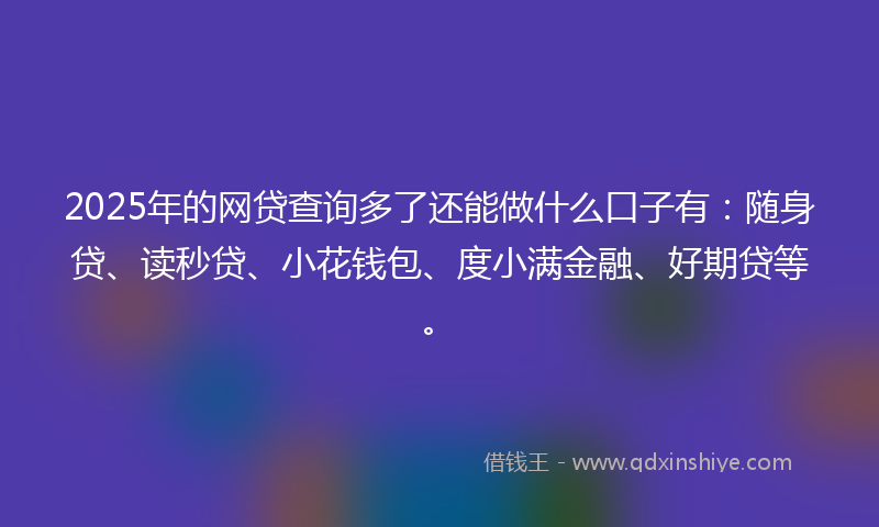 2025年的网贷查询多了还能做什么口子有：随身贷、读秒贷、小花钱包、度小满金融、好期贷等。