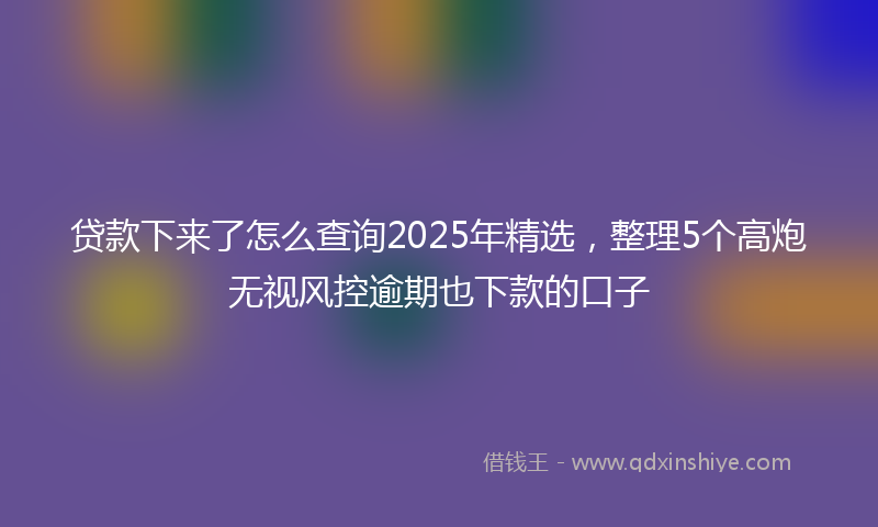 贷款下来了怎么查询2025年精选，整理5个高炮无视风控逾期也下款的口子