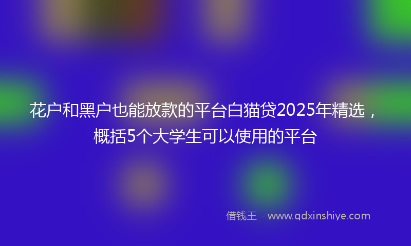 花户和黑户也能放款的平台白猫贷2025年精选，概括5个大学生可以使用的平台
