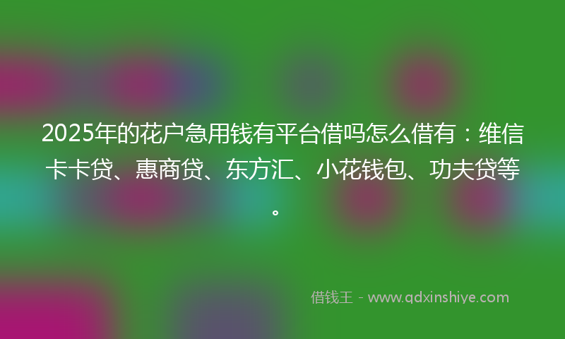 2025年的花户急用钱有平台借吗怎么借有:维信卡卡贷、惠商贷、东方汇、小花钱包、功夫贷等。