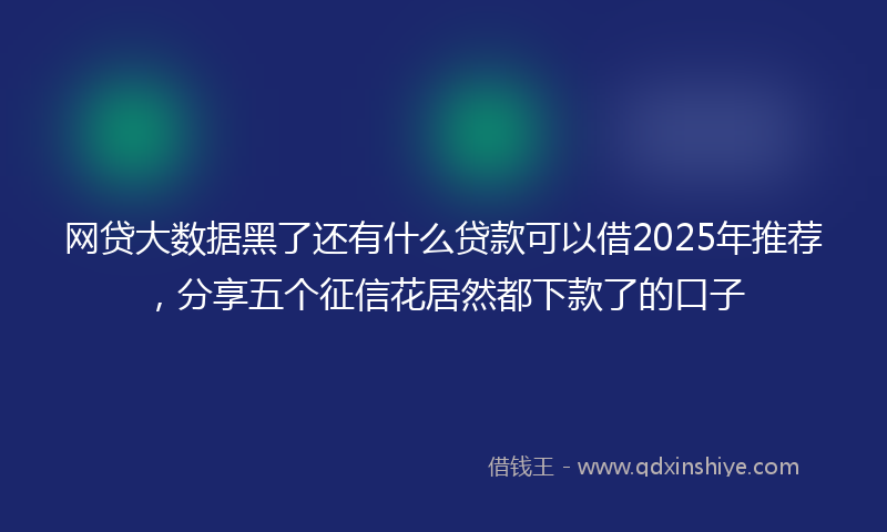 网贷大数据黑了还有什么贷款可以借2025年推荐，分享五个征信花居然都下款了的口子