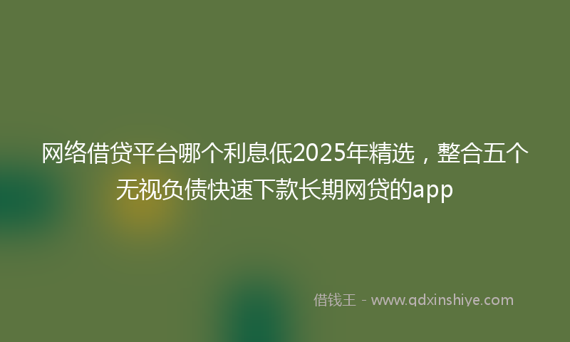 网络借贷平台哪个利息低2025年精选，整合五个无视负债快速下款长期网贷的app