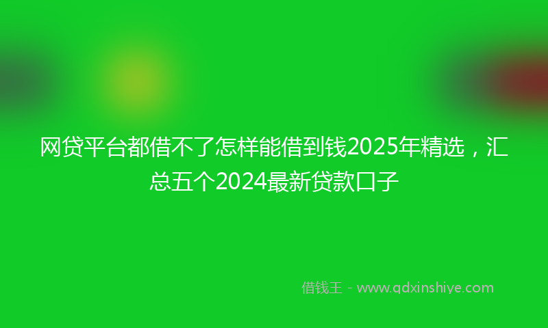 网贷平台都借不了怎样能借到钱2025年精选，汇总五个2024最新贷款口子