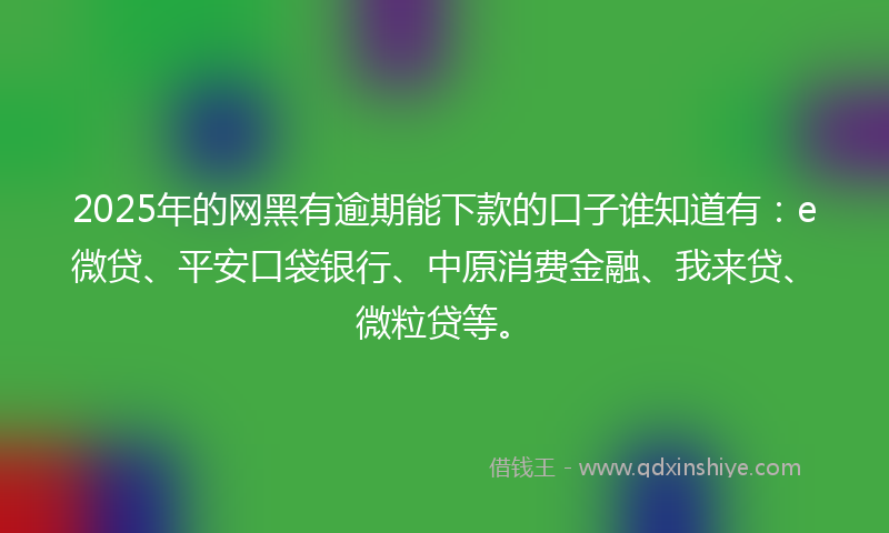 2025年的网黑有逾期能下款的口子谁知道有：e微贷、平安口袋银行、中原消费金融、我来贷、微粒贷等。