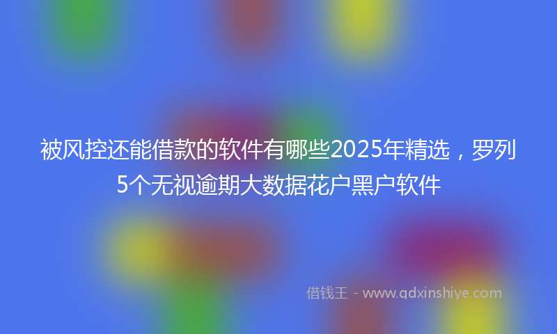 被风控还能借款的软件有哪些2025年精选，罗列5个无视逾期大数据花户黑户软件
