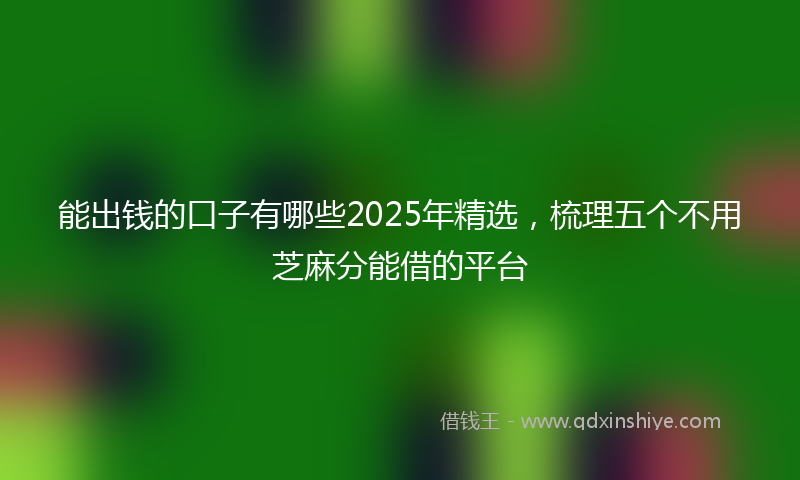 能出钱的口子有哪些2025年精选，梳理五个不用芝麻分能借的平台
