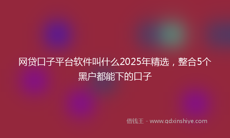 网贷口子平台软件叫什么2025年精选，整合5个黑户都能下的口子