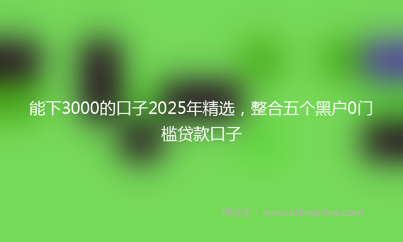 能下3000的口子2025年精选，整合五个黑户0门槛贷款口子
