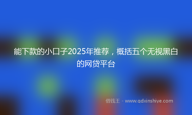 能下款的小口子2025年推荐，概括五个无视黑白的网贷平台