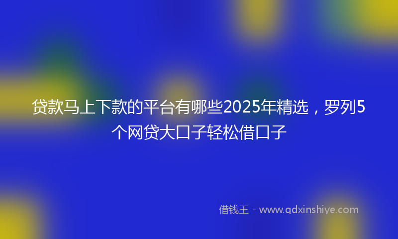 贷款马上下款的平台有哪些2025年精选，罗列5个网贷大口子轻松借口子