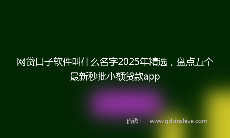 网贷口子软件叫什么名字2025年精选，盘点五个最新秒批小额贷款app