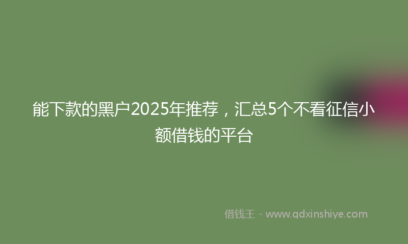 能下款的黑户2025年推荐，汇总5个不看征信小额借钱的平台