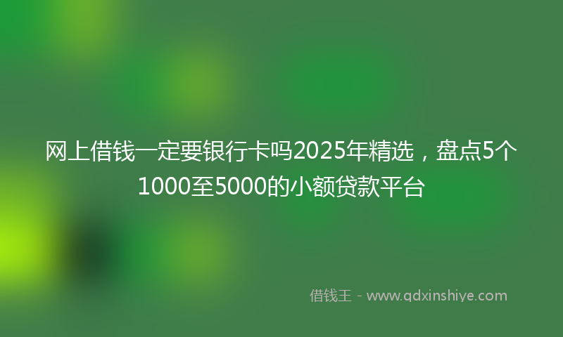 网上借钱一定要银行卡吗2025年精选，盘点5个1000至5000的小额贷款平台