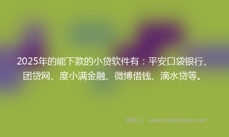 2025年的能下款的小贷软件有：平安口袋银行、团贷网、度小满金融、微博借钱、滴水贷等。