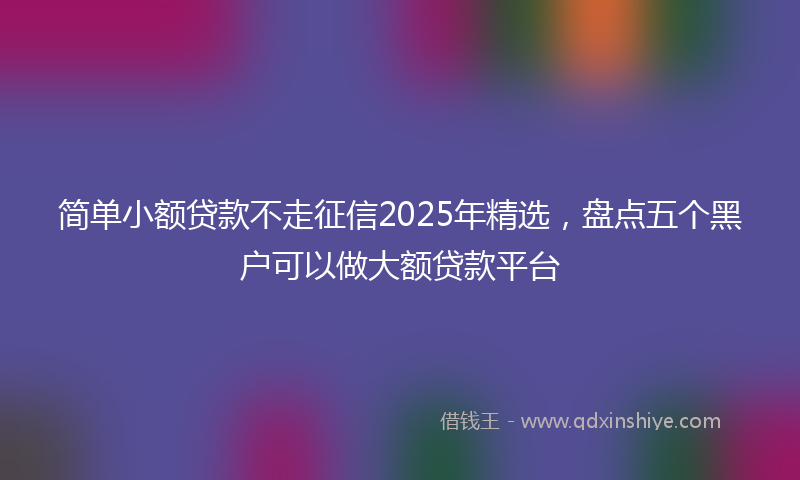 简单小额贷款不走征信2025年精选，盘点五个黑户可以做大额贷款平台