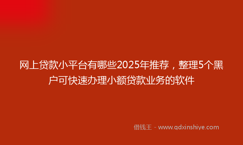 网上贷款小平台有哪些2025年推荐，整理5个黑户可快速办理小额贷款业务的软件