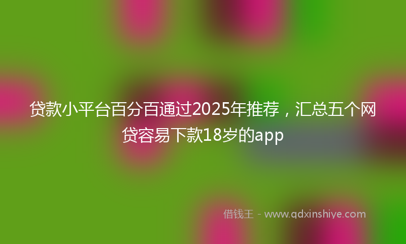 贷款小平台百分百通过2025年推荐，汇总五个网贷容易下款18岁的app