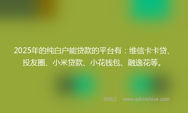 2025年的纯白户能贷款的平台有：维信卡卡贷、投友圈、小米贷款、小花钱包、融逸花等。