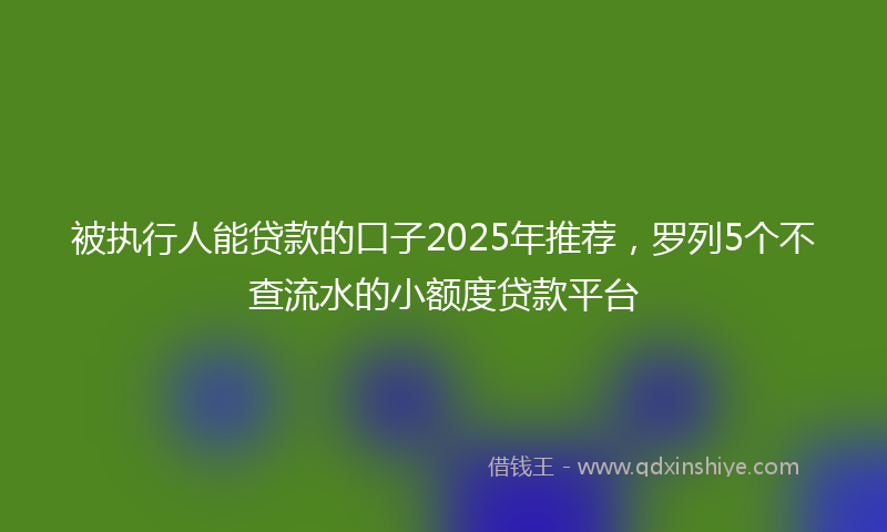 被执行人能贷款的口子2025年推荐，罗列5个不查流水的小额度贷款平台