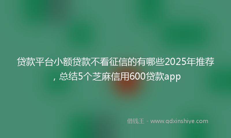 贷款平台小额贷款不看征信的有哪些2025年推荐，总结5个芝麻信用600贷款app