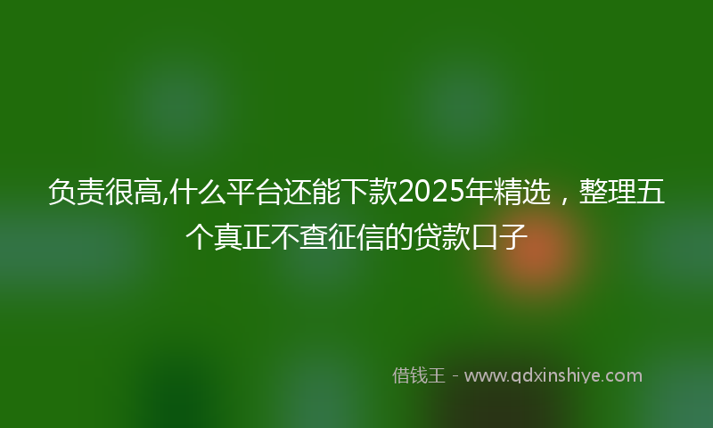 负责很高,什么平台还能下款2025年精选，整理五个真正不查征信的贷款口子