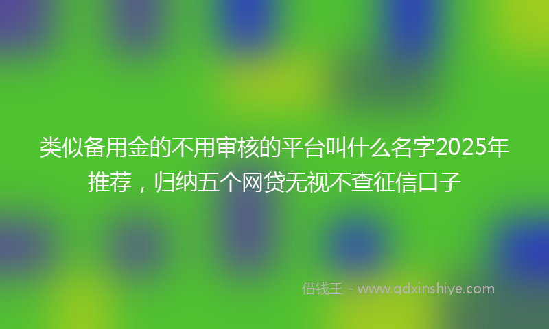 类似备用金的不用审核的平台叫什么名字2025年推荐，归纳五个网贷无视不查征信口子