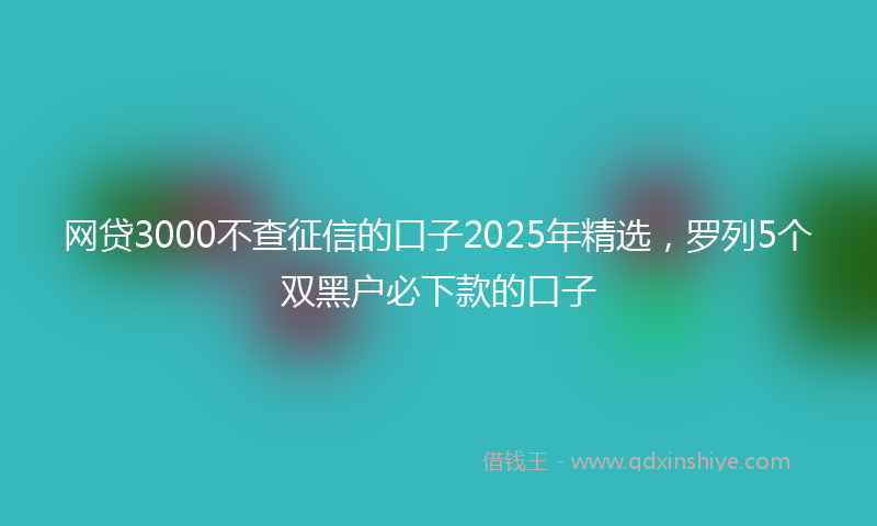 网贷3000不查征信的口子2025年精选，罗列5个双黑户必下款的口子