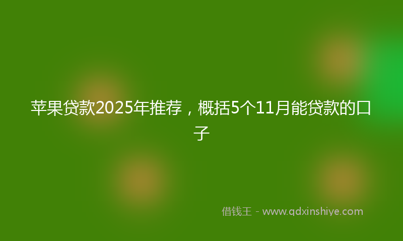 苹果贷款2025年推荐，概括5个11月能贷款的口子