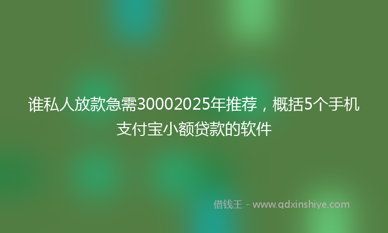 谁私人放款急需30002025年推荐，概括5个手机支付宝小额贷款的软件