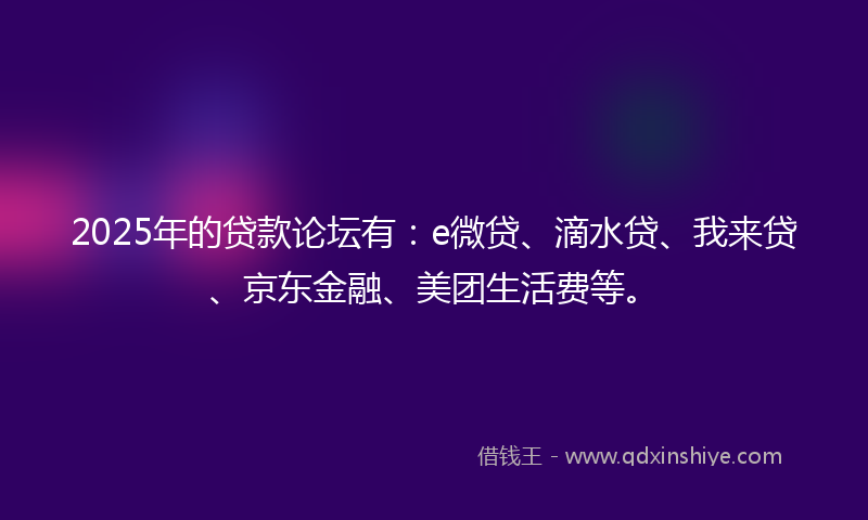 2025年的贷款论坛有：e微贷、滴水贷、我来贷、京东金融、美团生活费等。