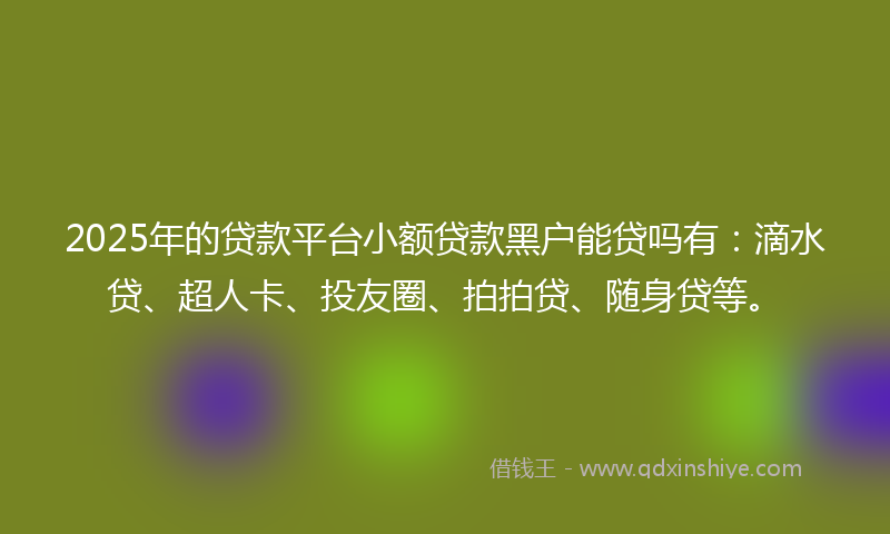 2025年的贷款平台小额贷款黑户能贷吗有：滴水贷、超人卡、投友圈、拍拍贷、随身贷等。