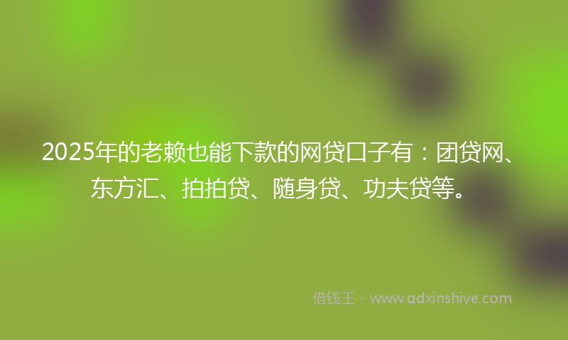 2025年的老赖也能下款的网贷口子有：团贷网、东方汇、拍拍贷、随身贷、功夫贷等。