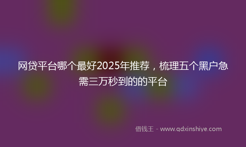 网贷平台哪个最好2025年推荐，梳理五个黑户急需三万秒到的的平台