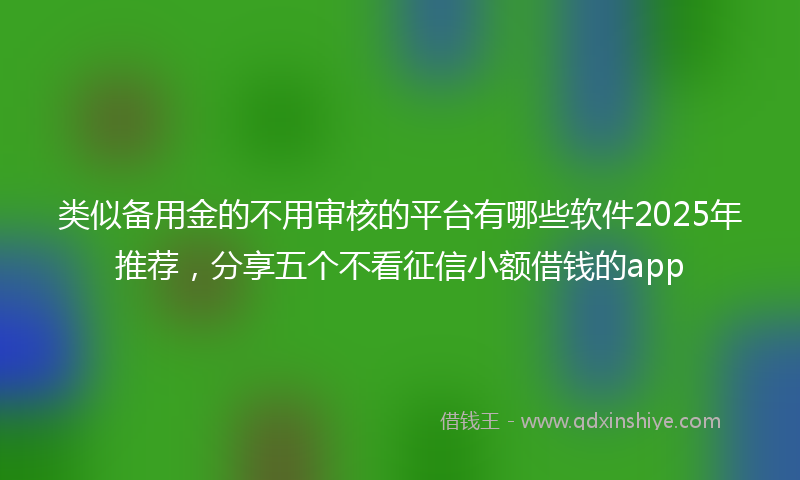 类似备用金的不用审核的平台有哪些软件2025年推荐，分享五个不看征信小额借钱的app