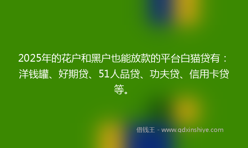2025年的花户和黑户也能放款的平台白猫贷有:洋钱罐、好期贷、51人品贷、功夫贷、信用卡贷等。