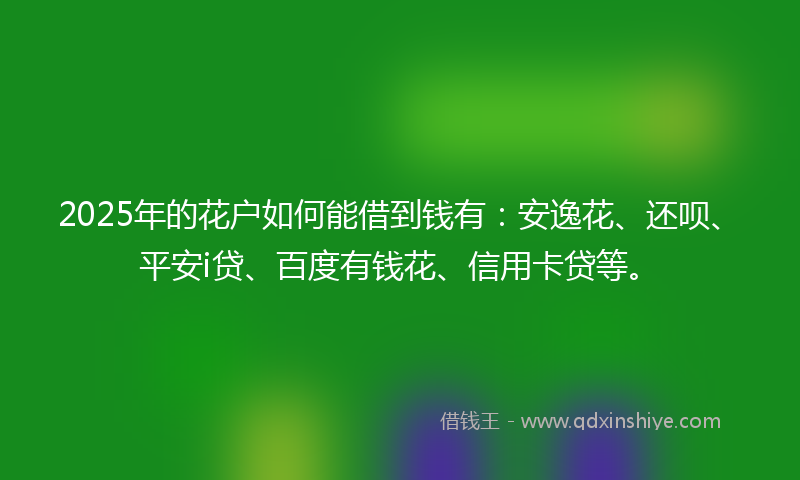 2025年的花户如何能借到钱有：安逸花、还呗、平安i贷、百度有钱花、信用卡贷等。