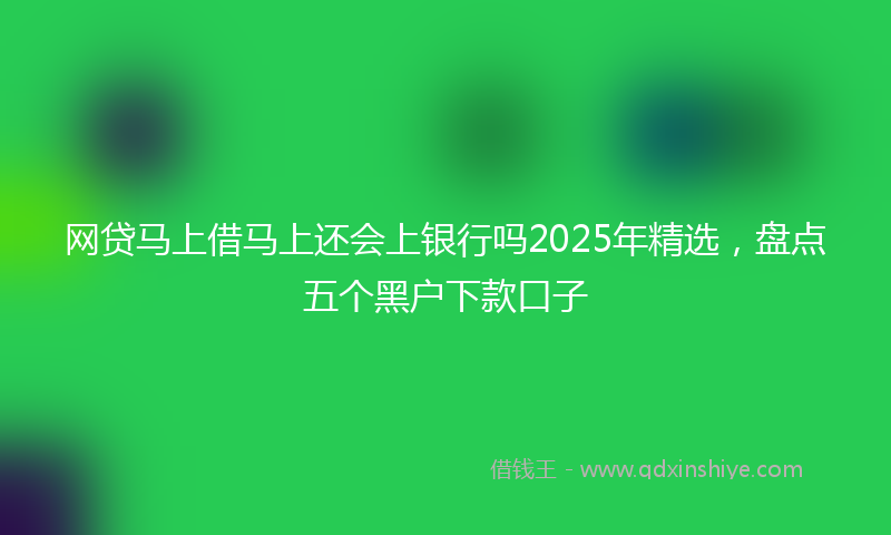 网贷马上借马上还会上银行吗2025年精选，盘点五个黑户下款口子
