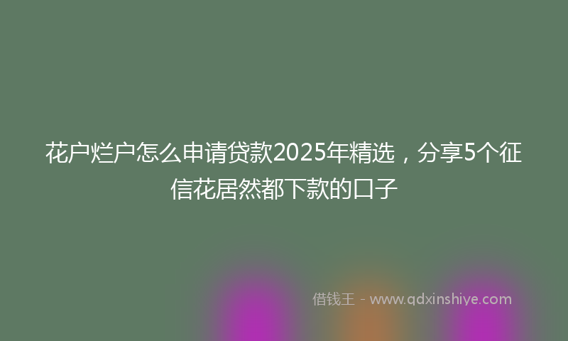 花户烂户怎么申请贷款2025年精选，分享5个征信花居然都下款的口子