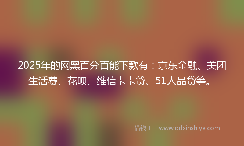 2025年的网黑百分百能下款有：京东金融、美团生活费、花呗、维信卡卡贷、51人品贷等。