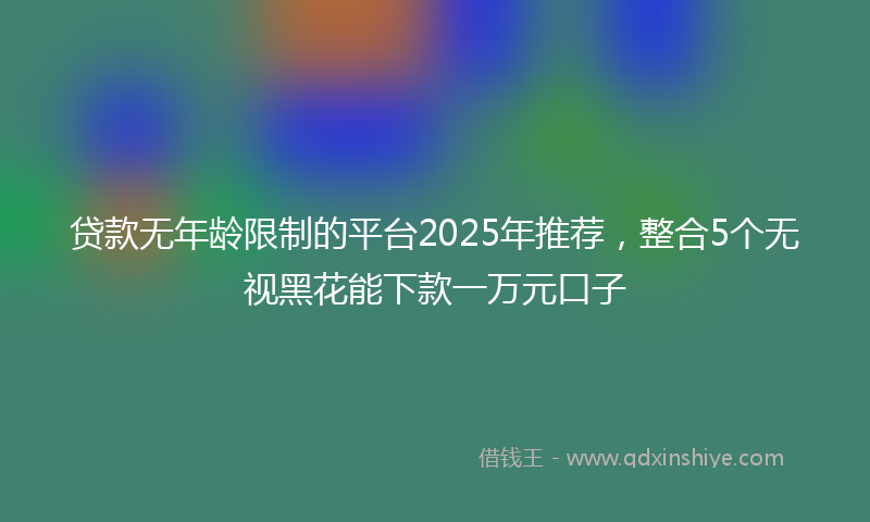 贷款无年龄限制的平台2025年推荐，整合5个无视黑花能下款一万元口子