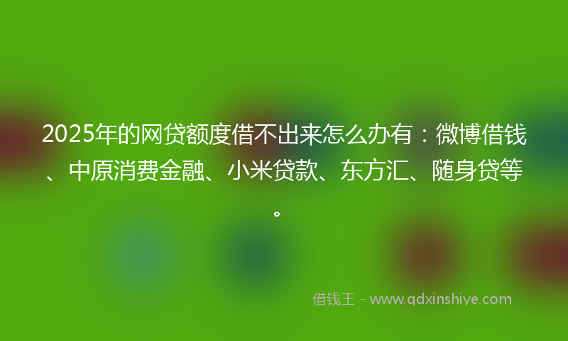 2025年的网贷额度借不出来怎么办有：微博借钱、中原消费金融、小米贷款、东方汇、随身贷等。