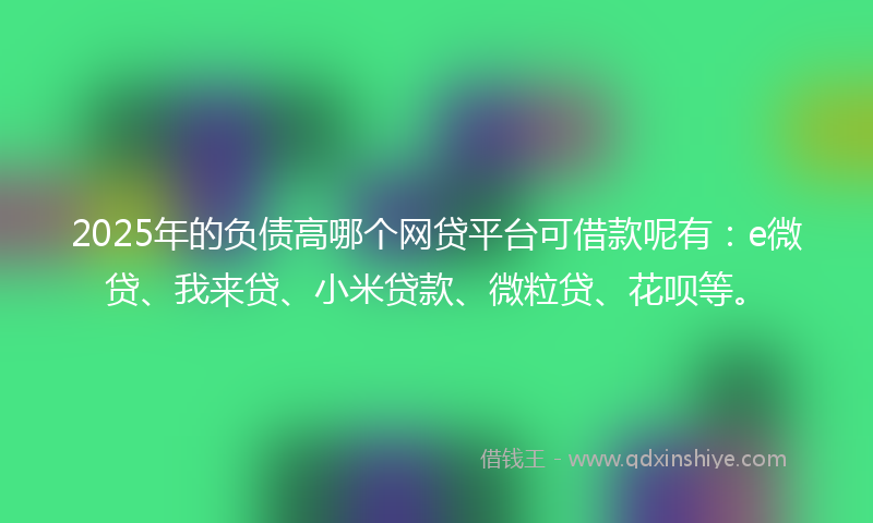 2025年的负债高哪个网贷平台可借款呢有：e微贷、我来贷、小米贷款、微粒贷、花呗等。
