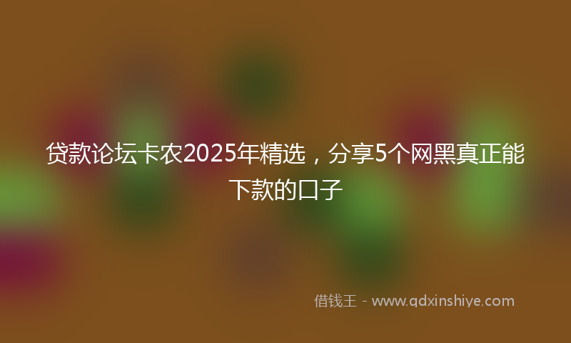 贷款论坛卡农2025年精选，分享5个网黑真正能下款的口子