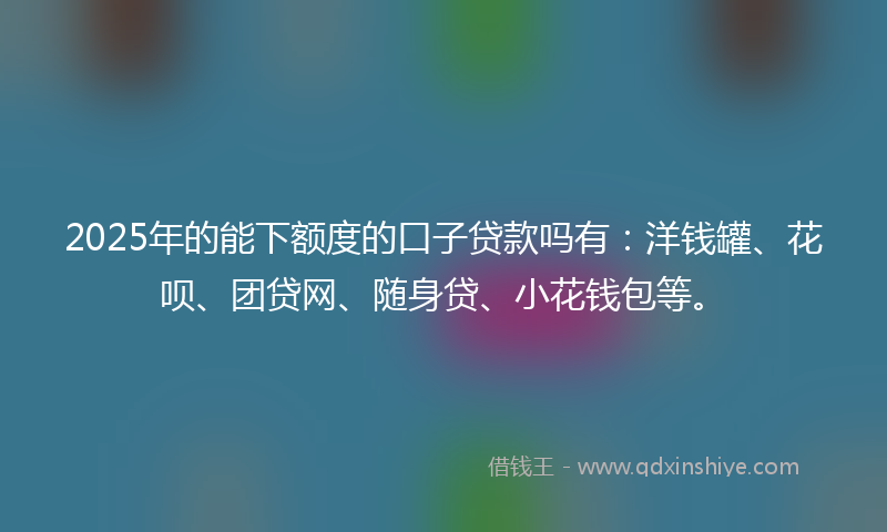 2025年的能下额度的口子贷款吗有：洋钱罐、花呗、团贷网、随身贷、小花钱包等。