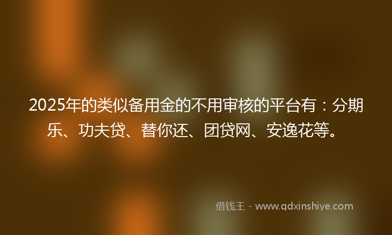 2025年的类似备用金的不用审核的平台有：分期乐、功夫贷、替你还、团贷网、安逸花等。