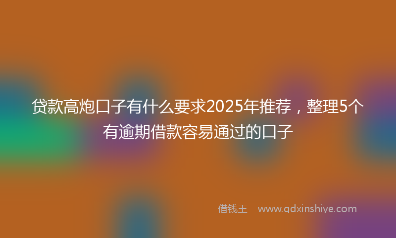 贷款高炮口子有什么要求2025年推荐，整理5个有逾期借款容易通过的口子