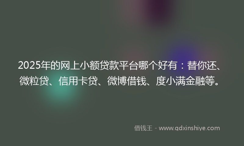 2025年的网上小额贷款平台哪个好有：替你还、微粒贷、信用卡贷、微博借钱、度小满金融等。